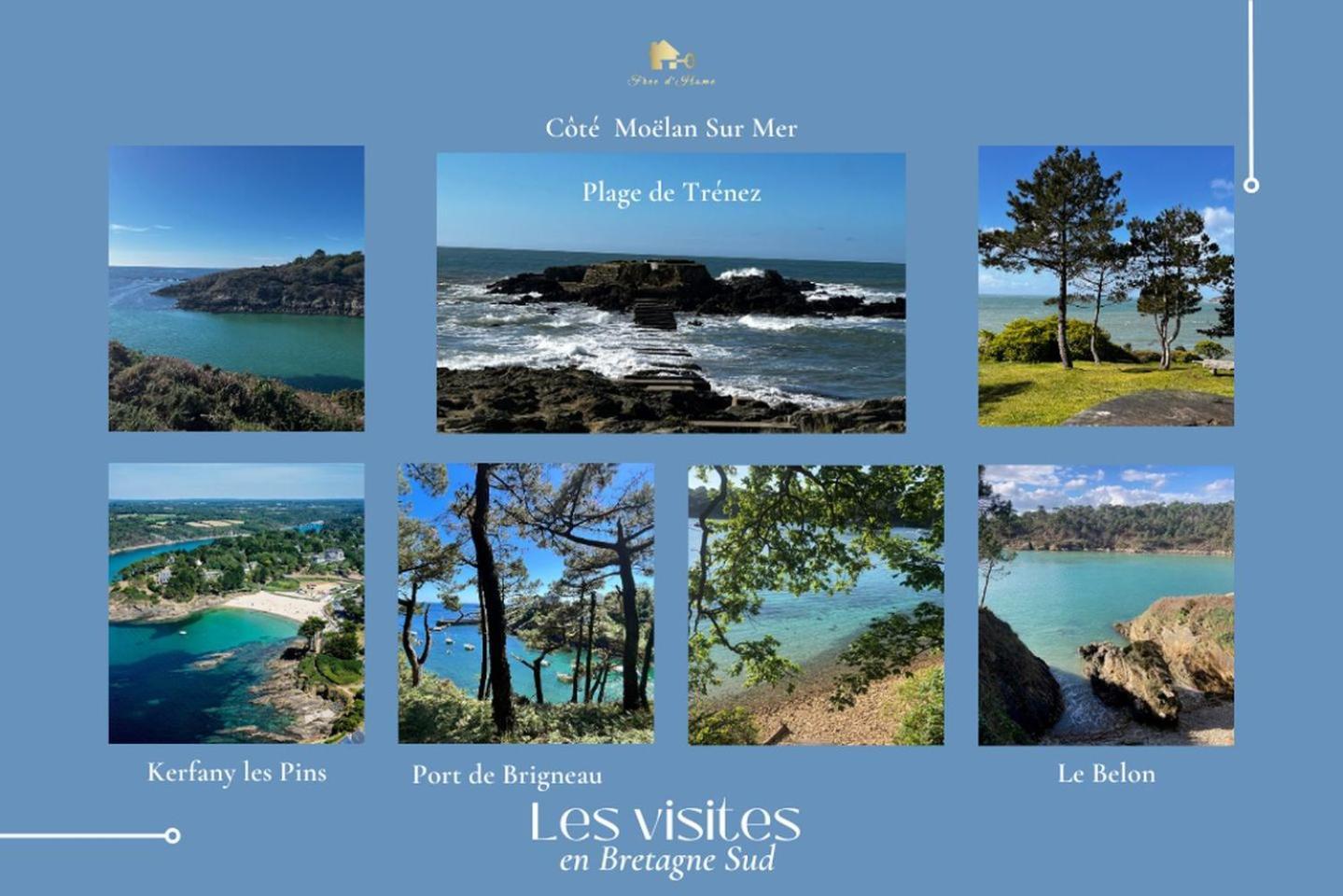Le Belaven, Neuf, Cosy, Terrasse, Jardin, Kerfany Plage, 1 A 6 Pers Moëlan-sur-Mer Eksteriør bilde